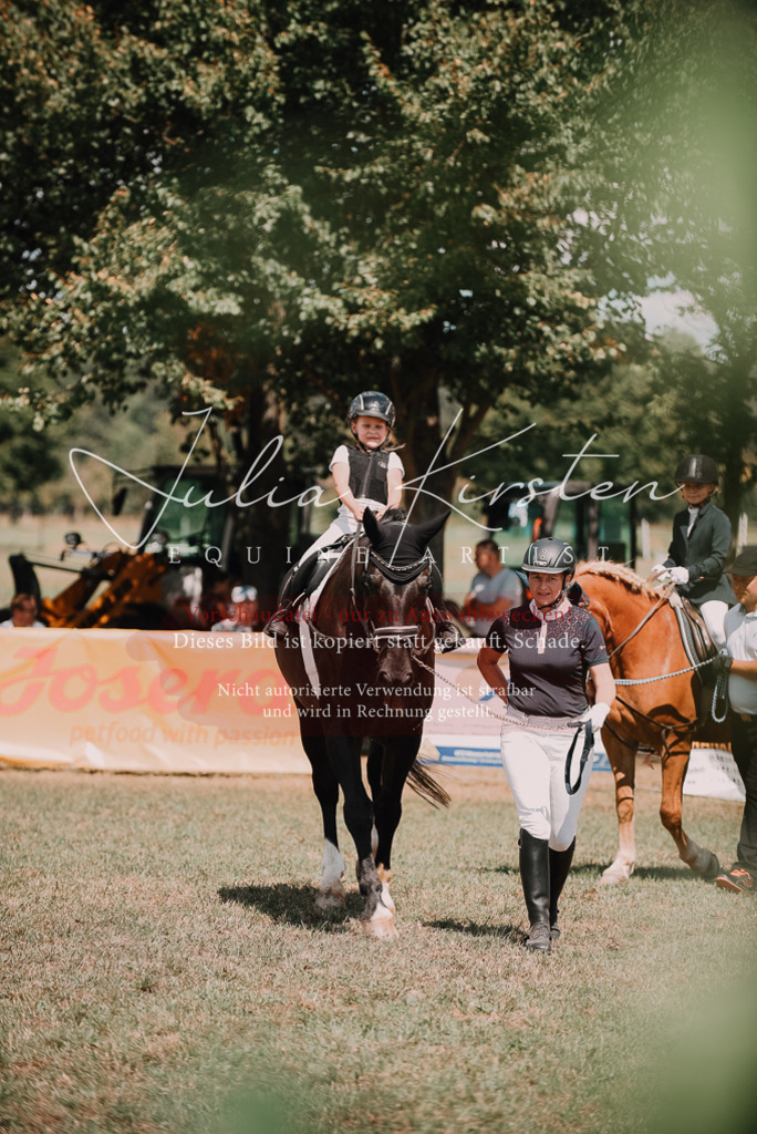 DSC_6191 | Pferde- und Turnierfotografie in Westsachsen. Pferdeportraits, Auftragszeichnungen und intuitive Kunst.