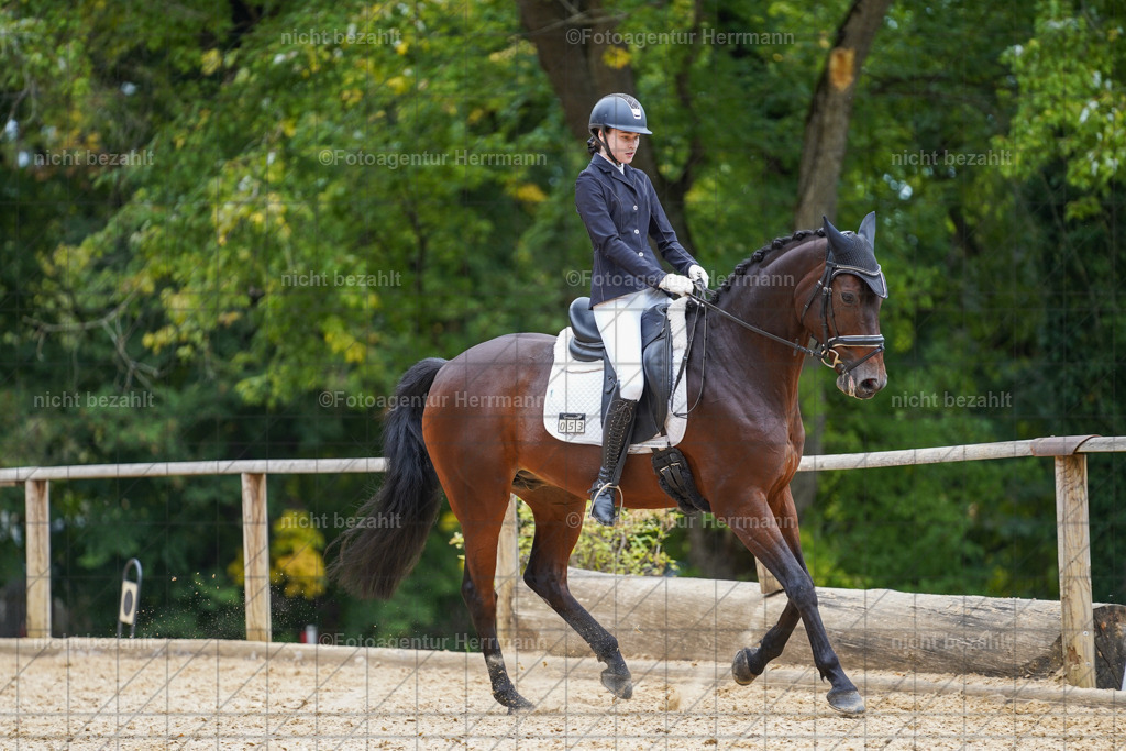 20231007-SN_00731 | Diessen am Ammersee, 2023, Dressur- und Springturnier, Reitsport, Turnierfotografie, Pferdebilder, Reitbilder, Turnierfotografen Bayern, Fotoagentur Herrmann