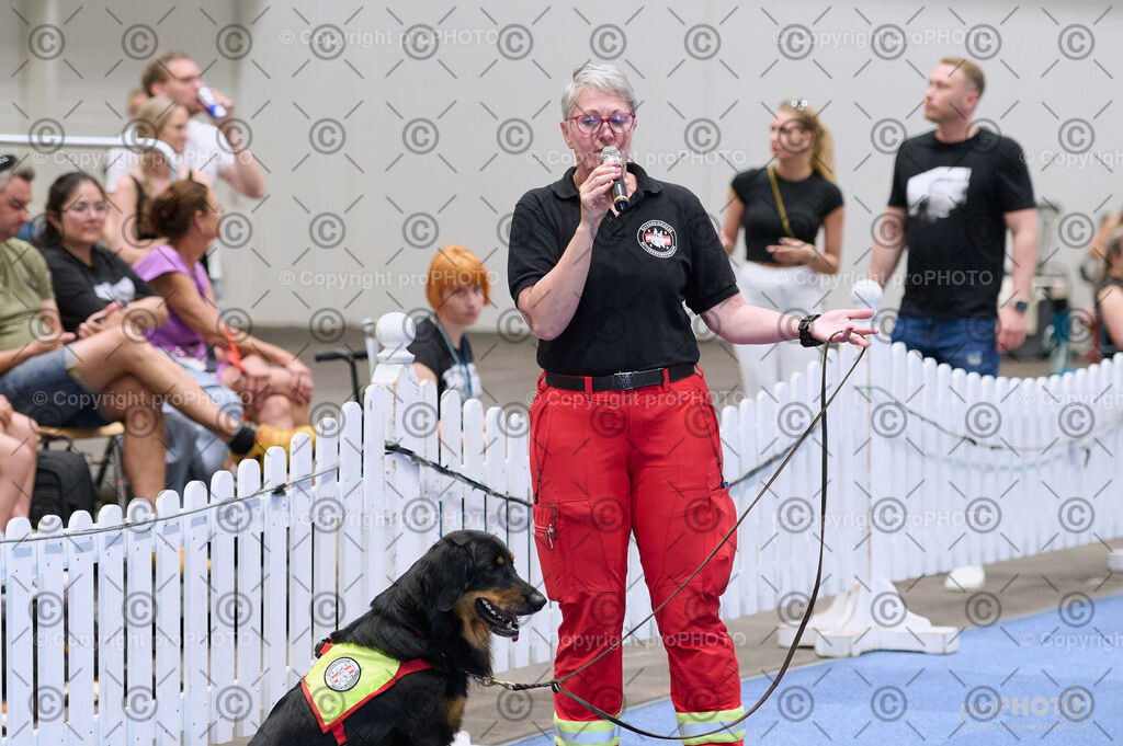 202406_ÖKV-IHA-Tulln24_DSC_3455 | proPHOTO - Realisiert mit Pictrs.com