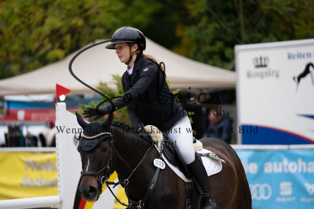A7V00034 | Turnier/Reitfotograf