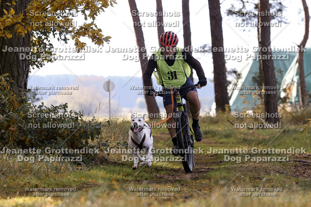 Dog Paparazzi - Elsholz 25 -129 | Dog Paparazzi Jeanette Grottendiek Fotografie & Videografie - Realisiert mit Pictrs.com