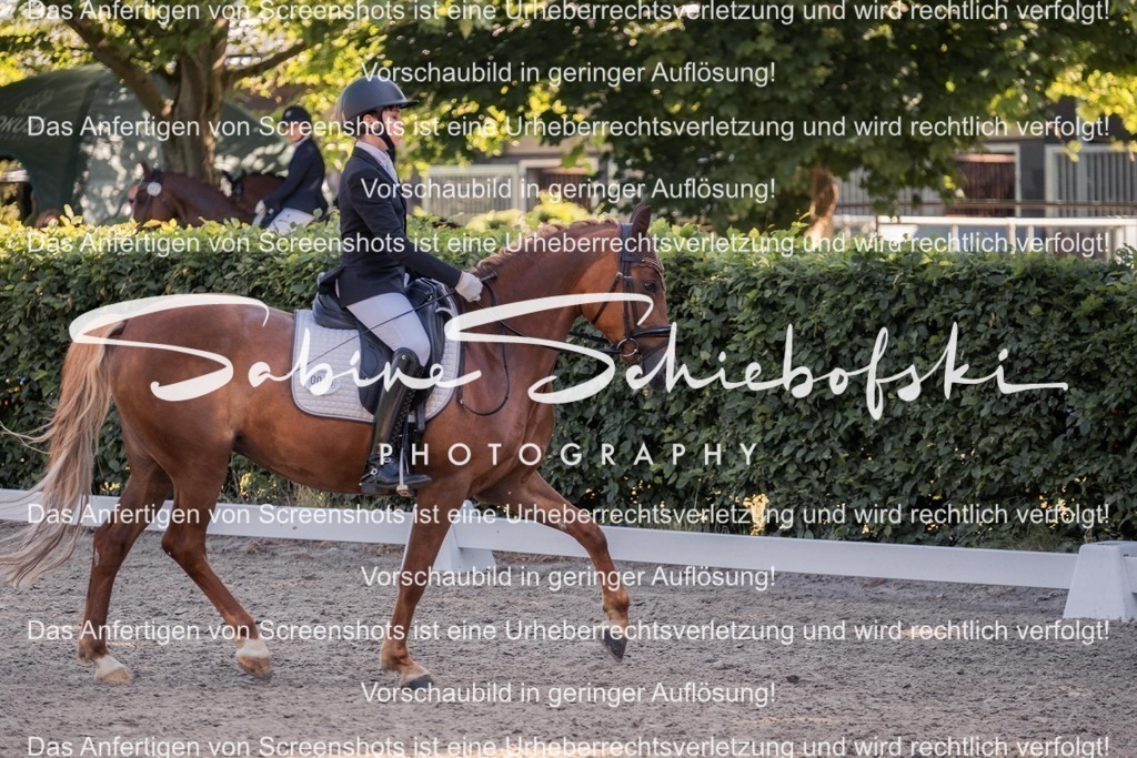 2025_05_31_DSCF2961 | People- und Tierfotografie, Imageaufnahmen, Veranstaltungsfotografie und Wandbilder aus der Natur ★ Made in Germany ✔️ Druck + Downloads ✔️ Naturfotografie in Top Qualität ★ schneller Versand, weltweite Lieferung! - Realisiert mit Pictrs.com