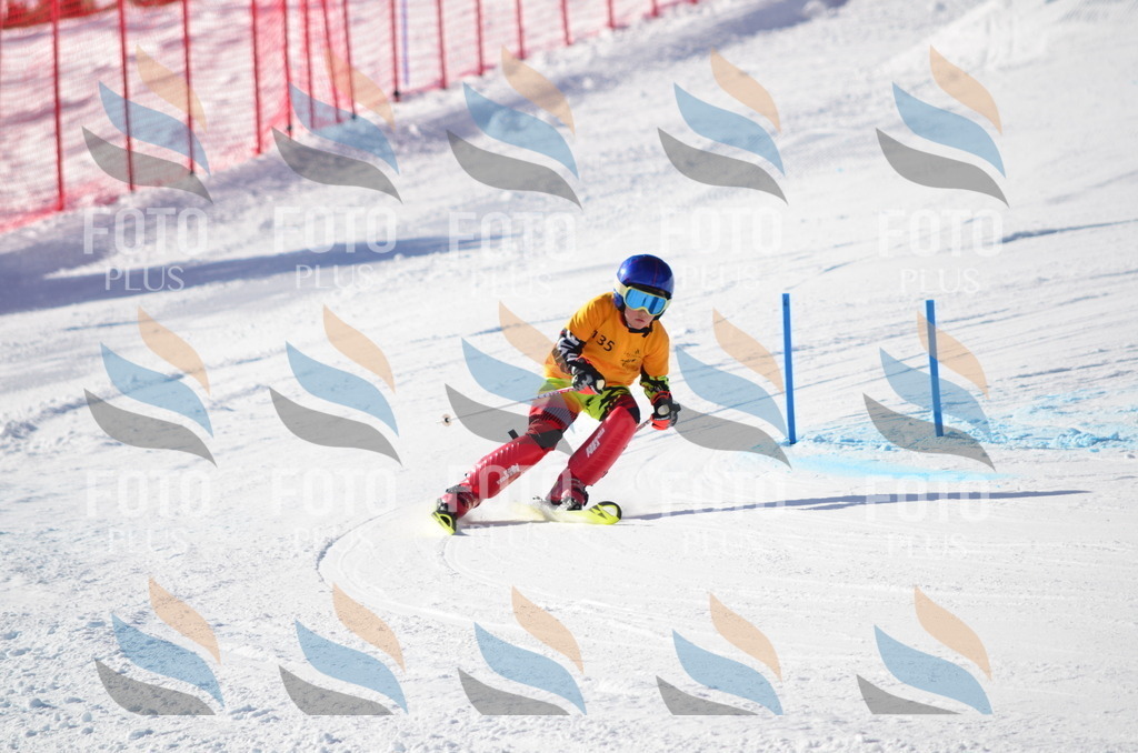 C6475 | holidayphoto