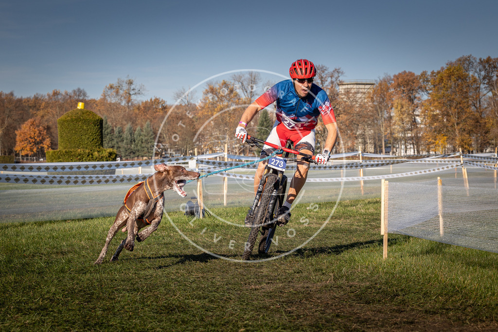 CaniXpix_0L8A5155 | Hundefotografie, Tierfotograf, Pfotenfotografie, Fotoshooting Hund, Hunde Portrait, Hundesport, Hundeportraits, Heideshooting, Hunde, Sportfotograf, Hundefotograf, Turnierhundsport, THS,  - Realisiert mit Pictrs.com