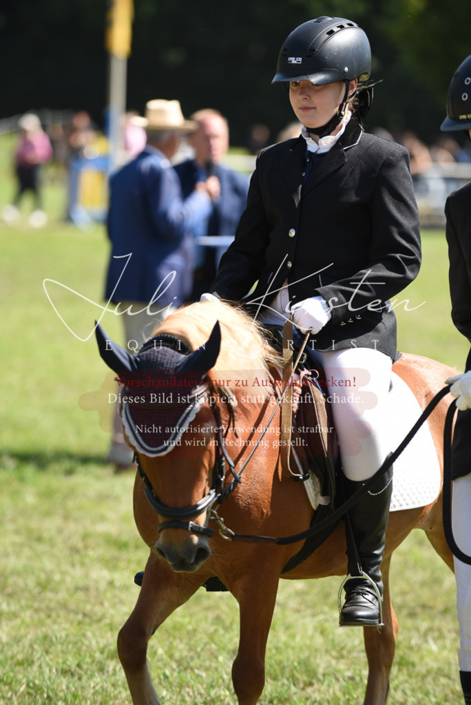 DSC_9712 | Pferde- und Turnierfotografie in Westsachsen. Pferdeportraits, Auftragszeichnungen und intuitive Kunst.
