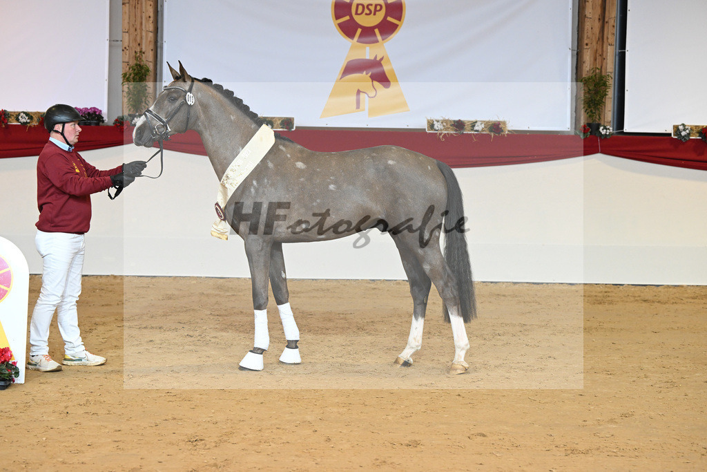 Kat-Nr. 13 Comme il faut NRW_PBM Pfefferle GmbH_1231779 | hf-fotografie - Realizzato con Pictrs.com