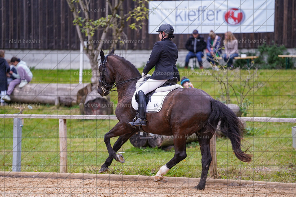 20231007-SN_00965 | Professionelle Turnier- und Reitsportfotografie - mit dem Finger am Auslöser. Pferdebilder aus dem Reitsport von den Turnierfotografen  Bayern , Pferdefotograf Bayern, Pferdeshooting Turnierbilder, Hochzeitsfotograf, Eventfotograf, Hochzeitsbilder