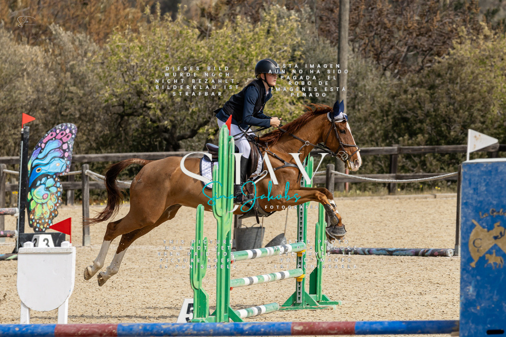 IMG_3174 | s-jay-photography - Realisiert mit Pictrs.com