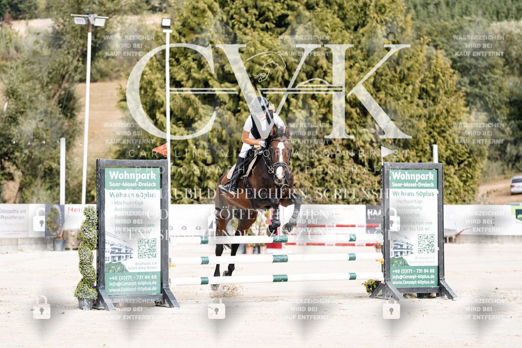 CK908829 | Turnierfotografie Pferdefotografie Trier Rheinland-Pfalz Pferdesport Reitsport Tierfotografie Sportfotografie Pferdevideo Pferdevideografie Equestrianvideography equestrianphotography  - Realisiert mit Pictrs.com