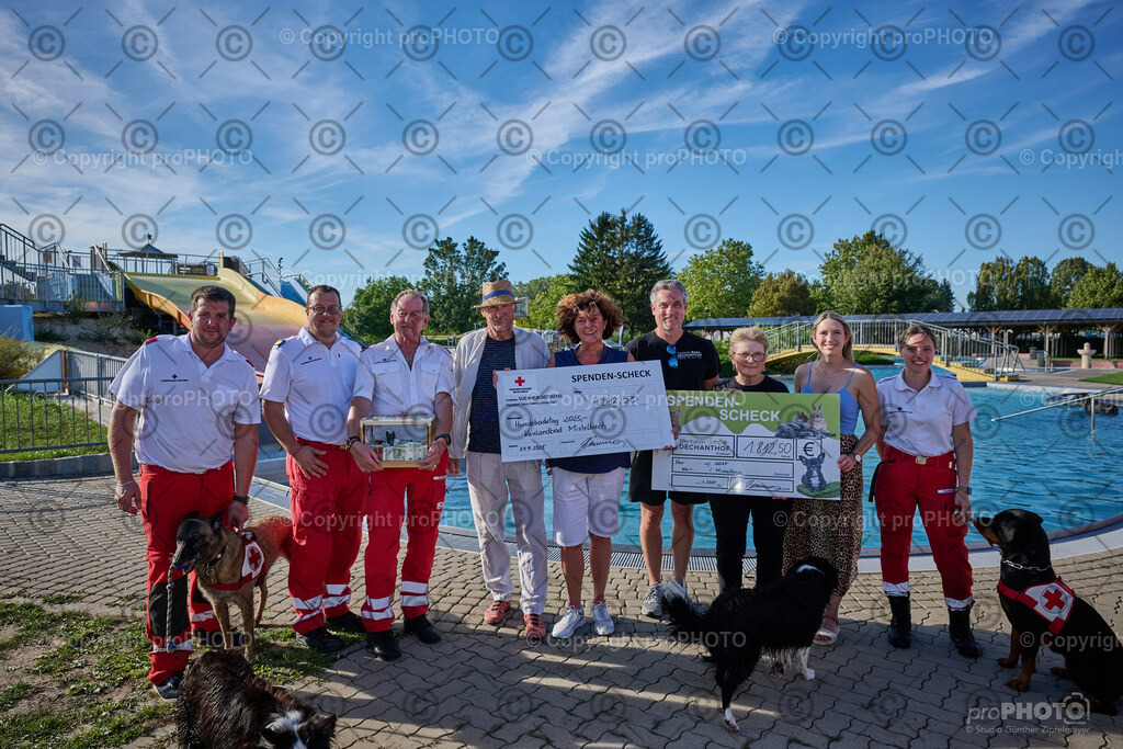 252_202509_4Hundebadetag_NZ9_3025 | proPHOTO - Realisiert mit Pictrs.com