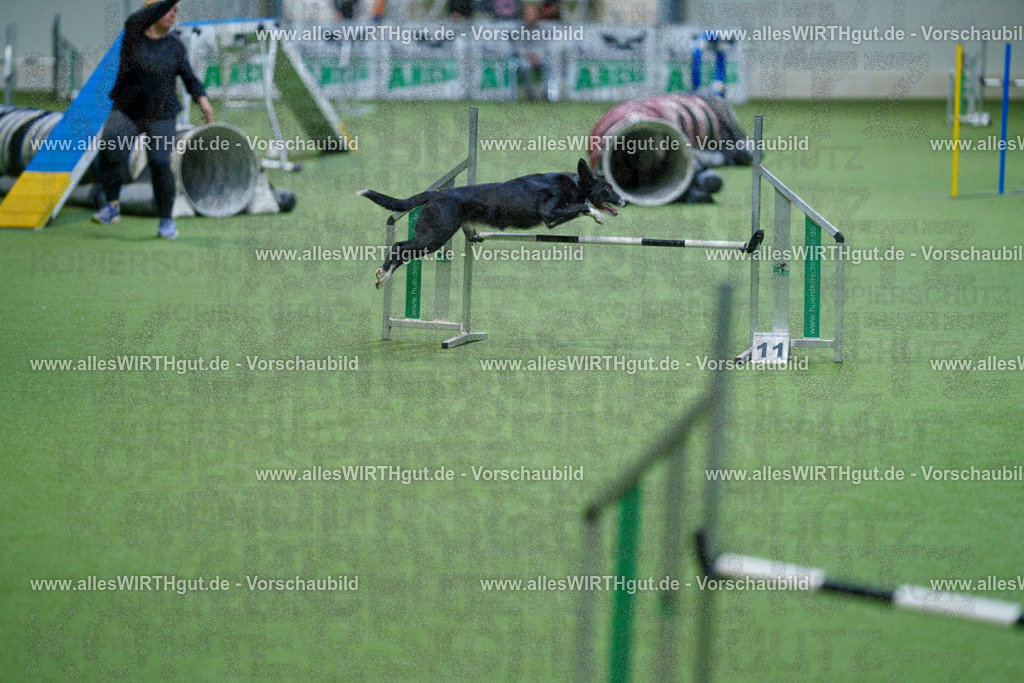 @allesWIRTHgut_Tierfotografie - www.allesWIRTHgut.de - 2604250813-7R505790 | Professionelle Tierfotografie in Mönchengladbach von Daniel Wirth (allesWIRTHgut). Liebevolle & natürliche Bilder von Hunden & Katzen für unvergessliche Erinnerungen.