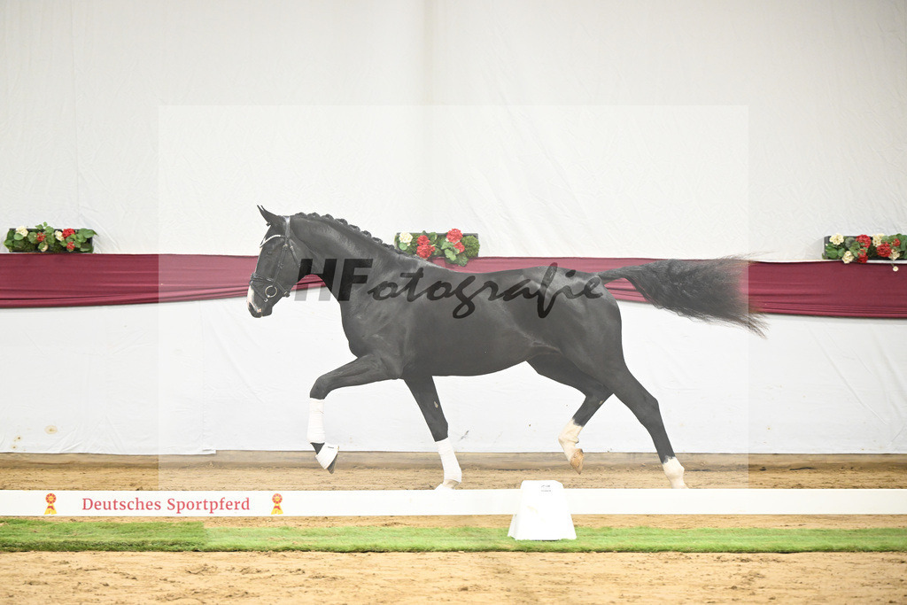 Kat-Nr. 59 Bloomberg x Gribaldi_T. _Stefan Schumacher_47252208 | hf-fotografie - Realisiert mit Pictrs.com