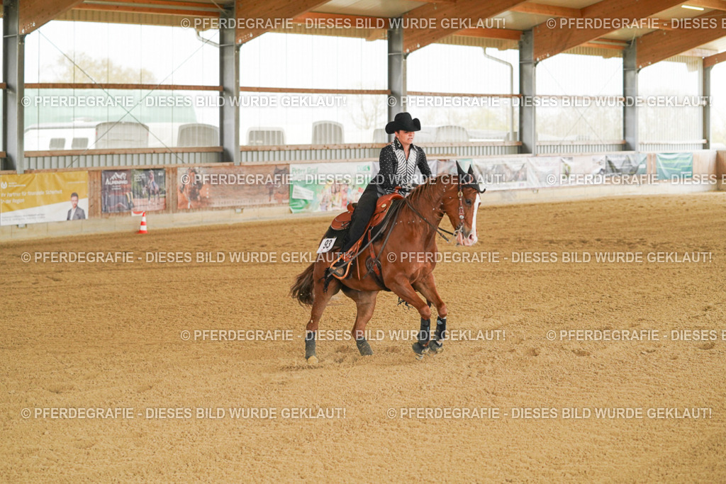 DSC07258 | Pferdegrafie