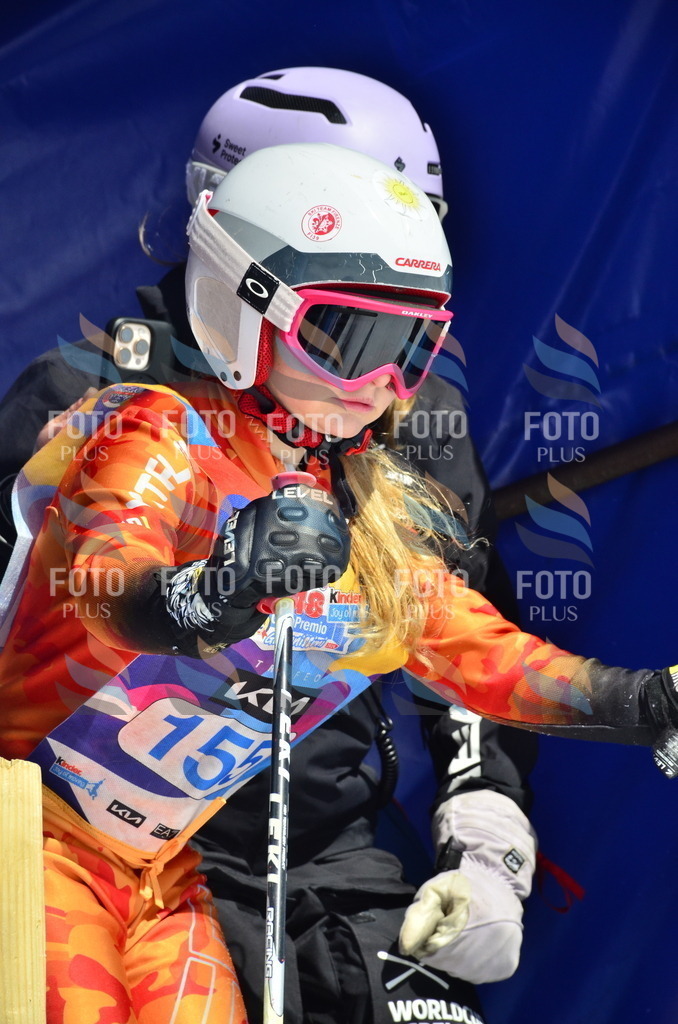 _ELE1037 | holidayphoto