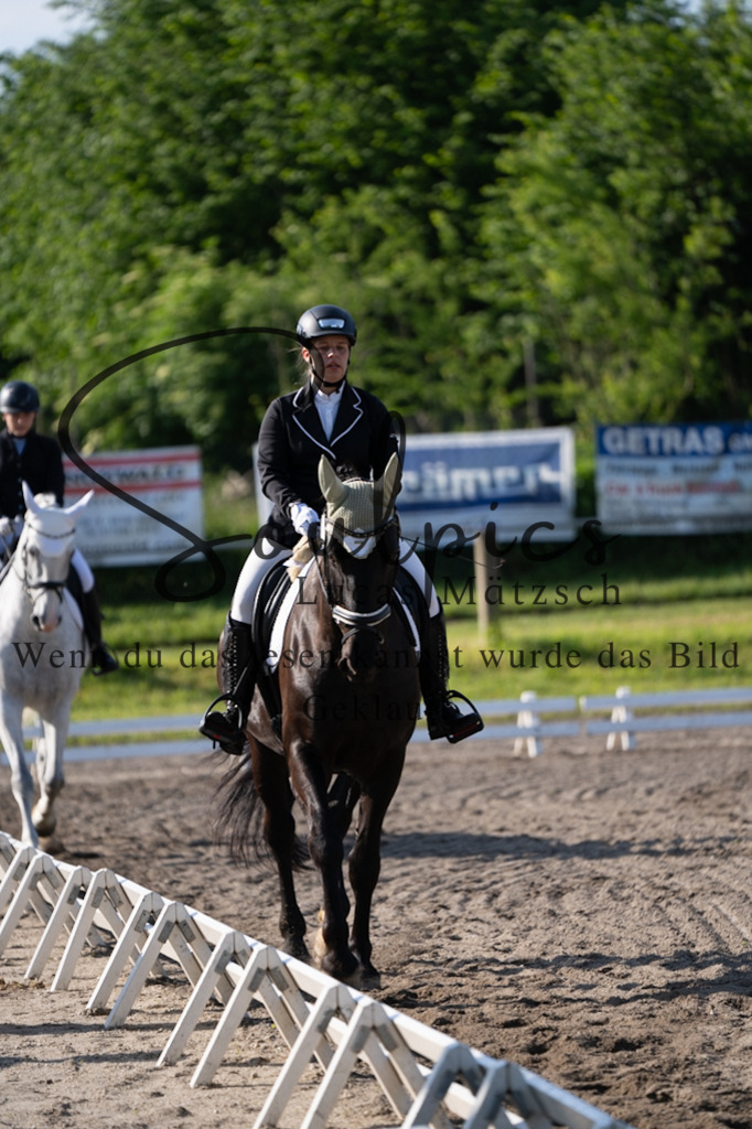 A7V02237 | Pferdefotograf