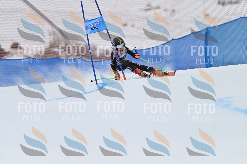 BGV_0623 | holidayphoto