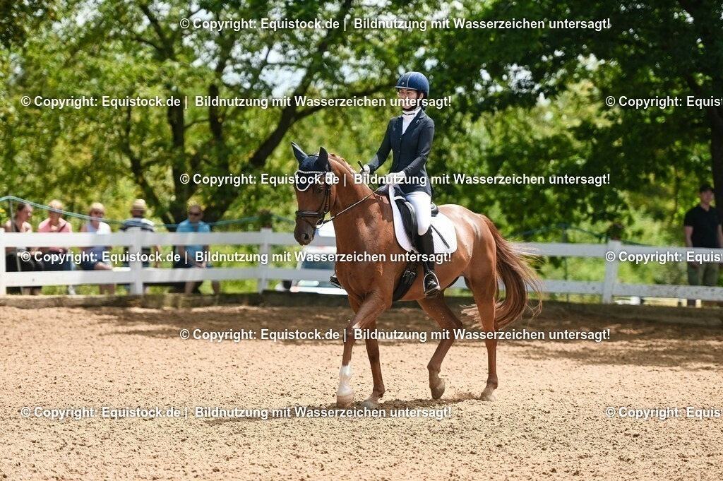 20230716_03_Dressurprfg. Kl.L - Tr._0299 | equistock
