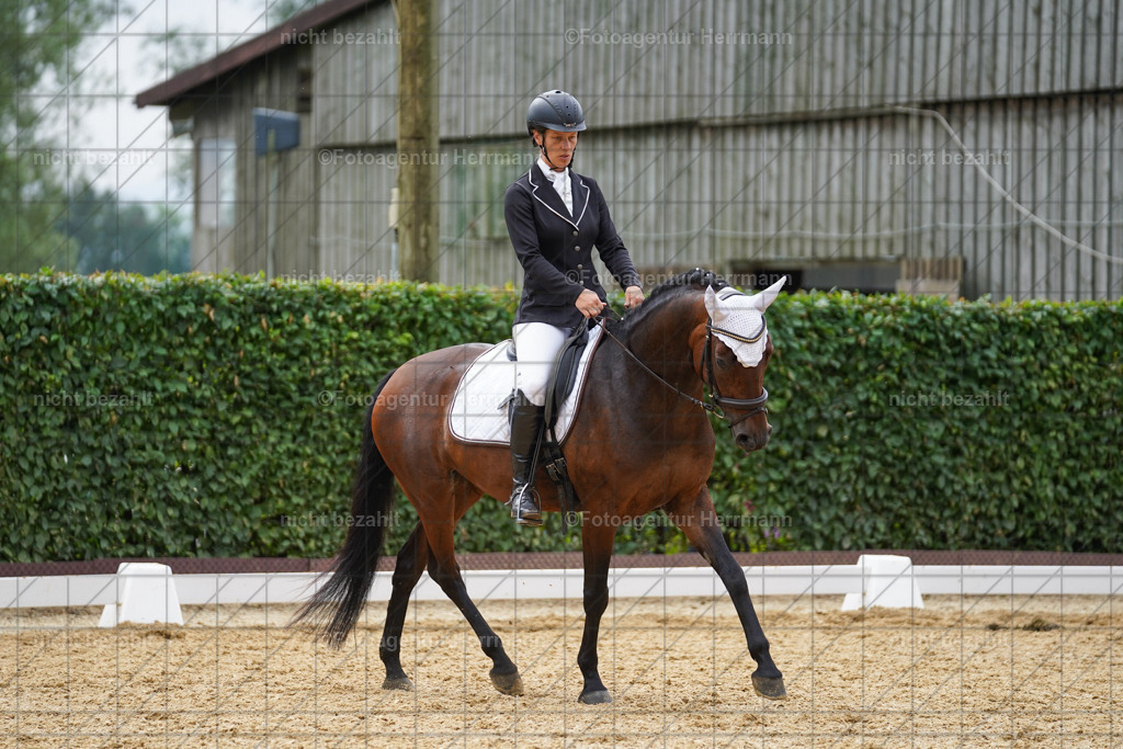 20240630-FAH00912 | Turnierbilder Schwabmünchen, Dressurbilder, Springreitturnier, Reitsportbilder, Turnierfotografen Bayern, Turnierfotograf