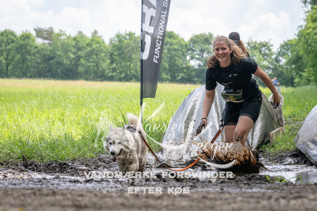 1137_ZZ93393 | kk-dogfotos