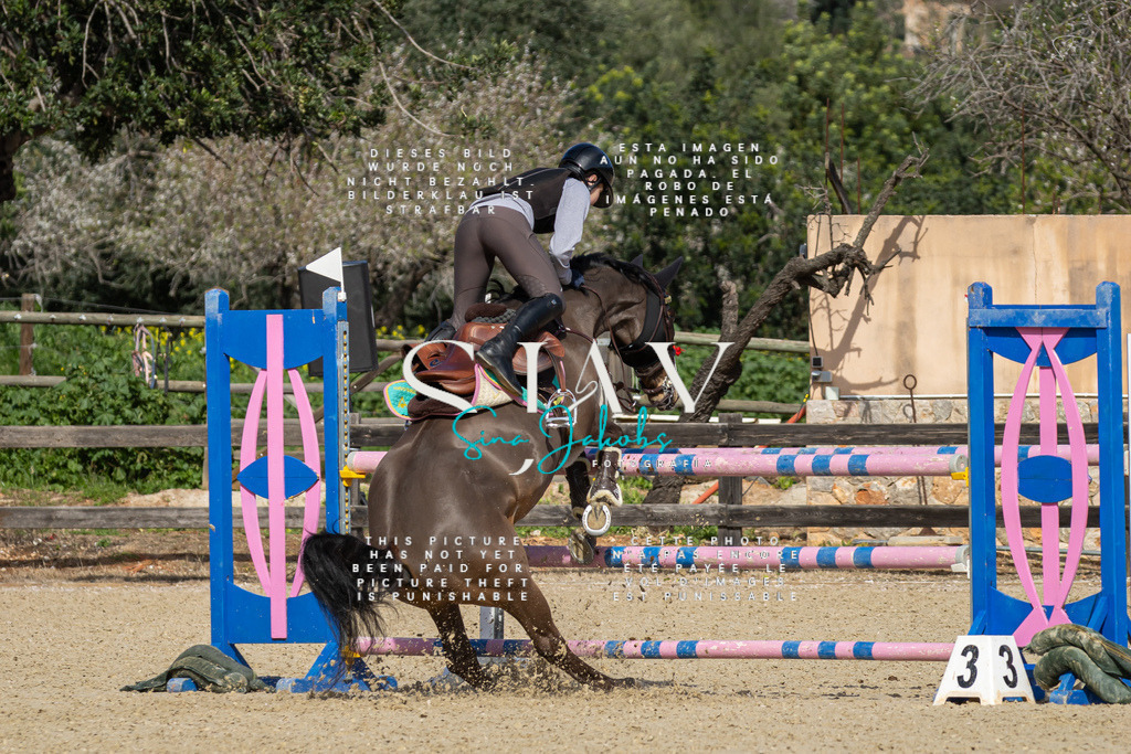 IMG_6745 | s-jay-photography - Realisiert mit Pictrs.com