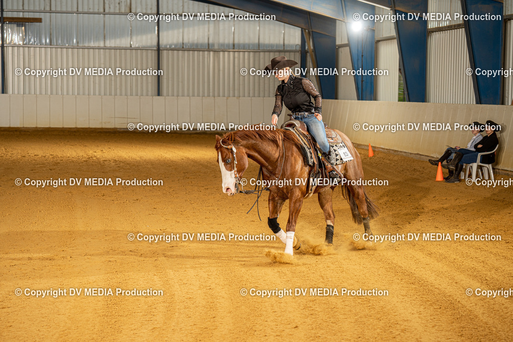 MIT00583 | dv-media-shop - Realisiert mit Pictrs.com