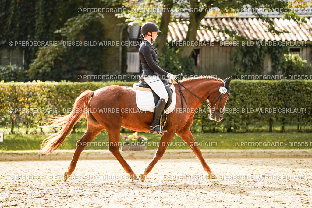 DSC00786 | Pferdegrafie