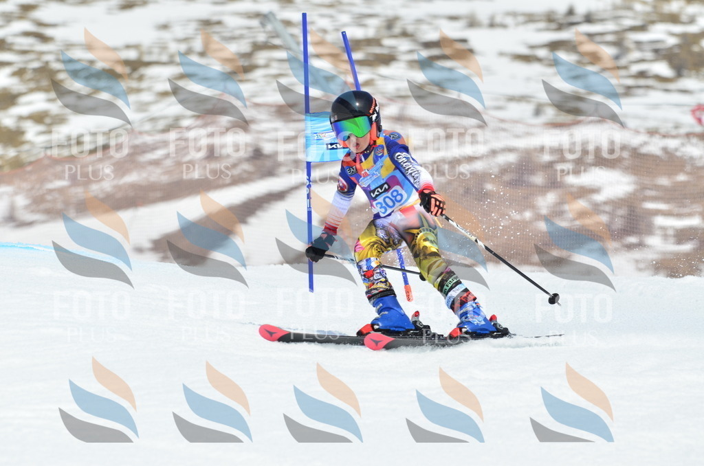 _ELE2294 | holidayphoto