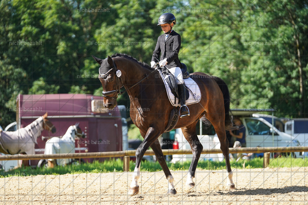 20240706-FAH04775 | Grafing Turnierfotos, Reitverein Ebersberg, Turnierfotografen Bayern, reitsportbilder, Pferdefotograf, reitsportfotograf, Sportbilder, Reitsportfotografie, Fotoagentur Herrmann, Turnierfotograf