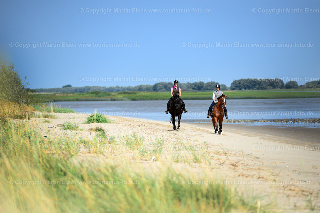 Abbenfleth Pferde_ELS_1040a | Fotos aus den Touristenorten aus Norddeutschland. - Realisiert mit Pictrs.com