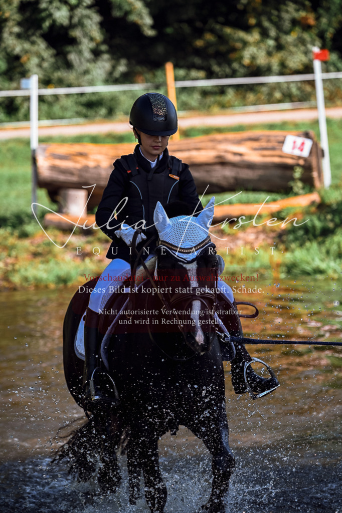 DSC_0393 | Pferde- und Turnierfotografie in Westsachsen. Pferdeportraits, Auftragszeichnungen und intuitive Kunst.