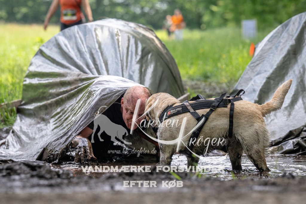 1211_ZZ91564 | kk-dogfotos