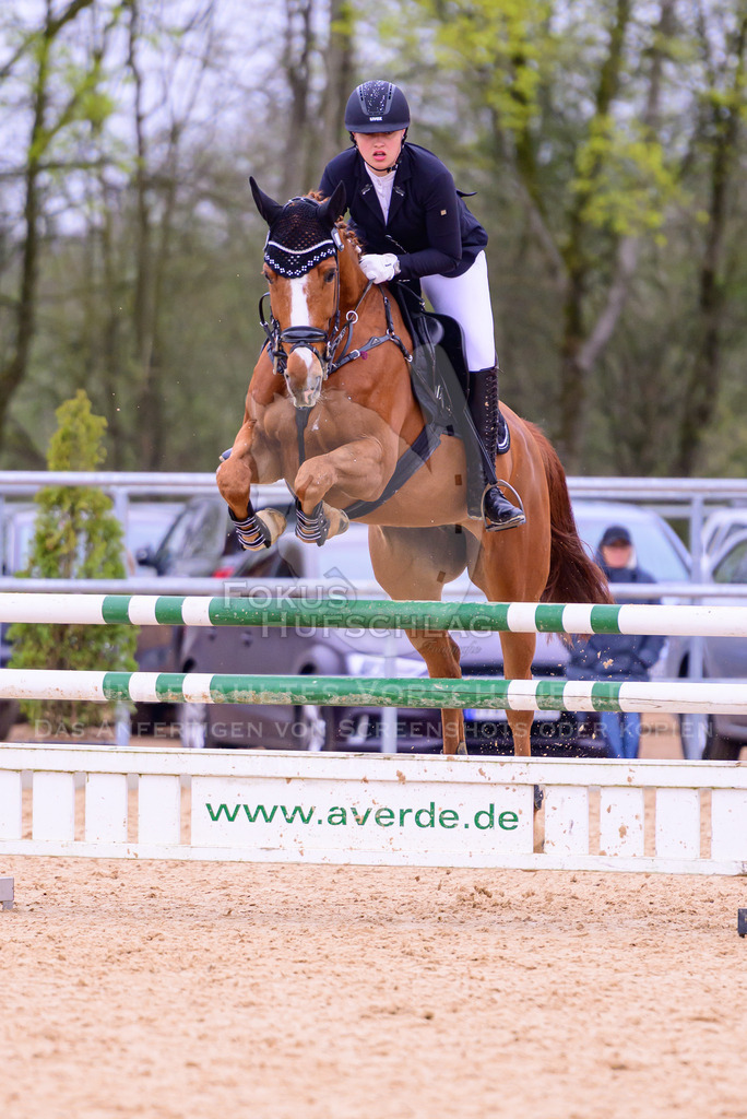 12042026-Mammendorf-Prfg42-0359 | Fokus Hufschlag Fotografie - Realisiert mit Pictrs.com