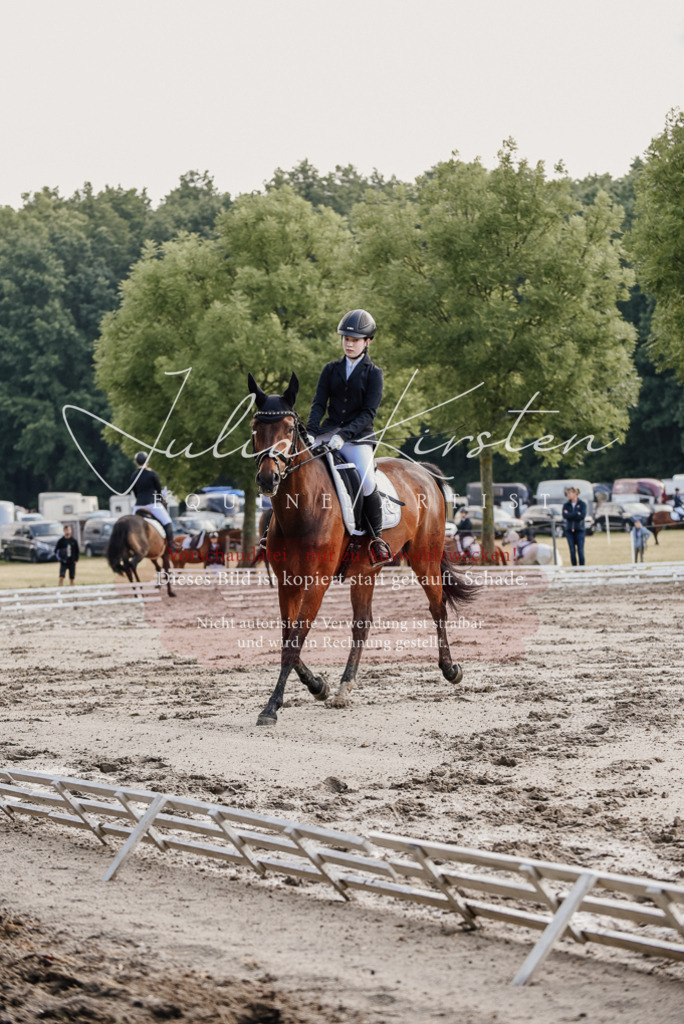 DSC_7987 | Pferde- und Turnierfotografie in Westsachsen. Pferdeportraits, Auftragszeichnungen und intuitive Kunst.