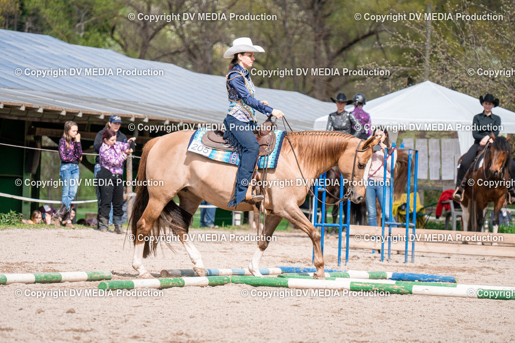 BAL02486 | dv-media-shop - Realisiert mit Pictrs.com