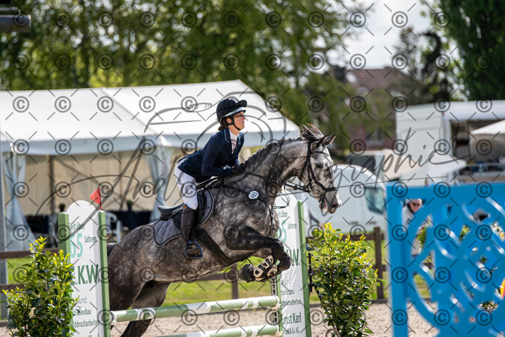 KPT_4724 | andre_photographic