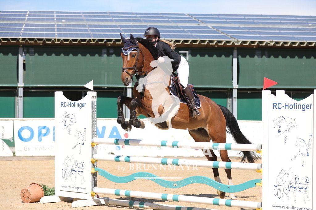 0P6A8593 | Willkommen bei Brunnmayr - Design & Fotografie – Ihrem Spezialisten für Reitturniere und Pferdeveranstaltungen in Oberösterreich, Salzburg und Bayern! Seit über 17 Jahren sind wir leidenschaftlich dabei.