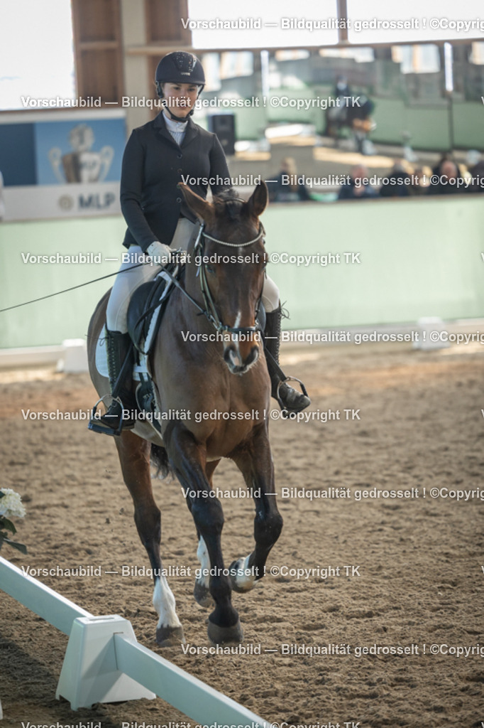 _D5A8380 | Emotionale Pferde- & People-Fotografie rund um Heidelberg, Leimen & Umgebung. Natürliche Fotos von Pferd, Mensch & Familie. Jetzt Termin sichern!