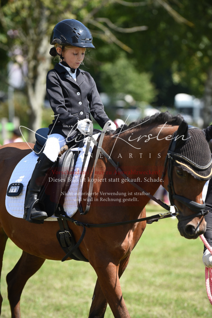 DSC_9761 | Pferde- und Turnierfotografie in Westsachsen. Pferdeportraits, Auftragszeichnungen und intuitive Kunst.