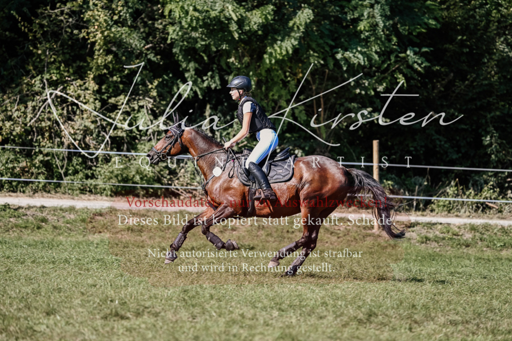 DSC_3296 | Pferde- und Turnierfotografie in Westsachsen. Pferdeportraits, Auftragszeichnungen und intuitive Kunst.