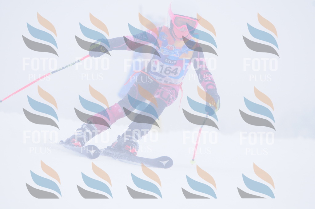 C1933 | holidayphoto