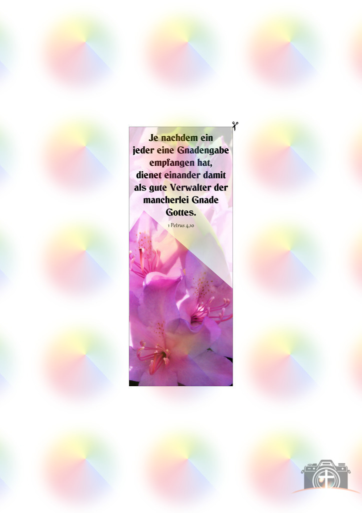 Lesezeichen S-Rhododendren-0001 mit Bibelvers DIN A4 | Entdecken Sie eine vielfältige Auswahl individueller Fotos zum Kauf auf picturalux.de. Finden Sie hochwertige Bilder für Ihre Projekte, die Ihre Botschaft perfekt unterstreichen. Stöbern Sie jetzt und verleihen Sie Ihren Inhalten das gewisse Etwas! - Realisiert mit Pictrs.com