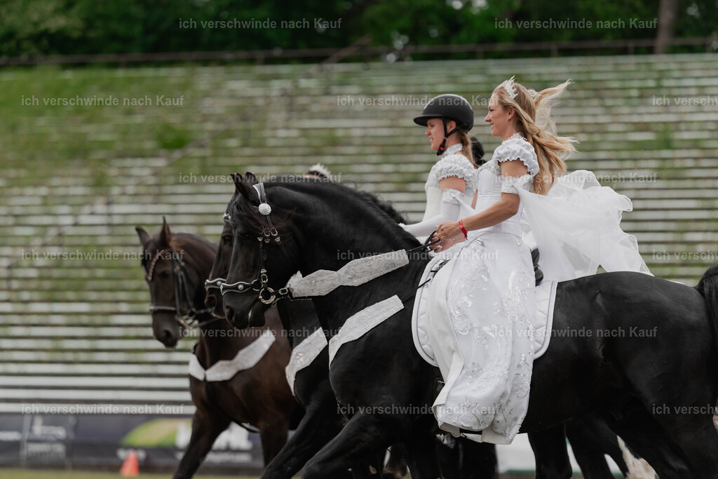 Showprogramm-309 | working equitationturnier fotograf videograf stoibphotography marixx film working equitation deutschland reitsport turnierfotografie eventfotografie equestrian events