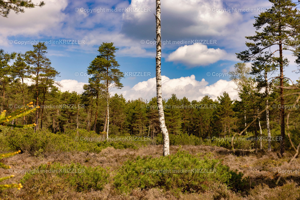 Schönramer Filz | medienkrizzler - Realisiert mit Pictrs.com