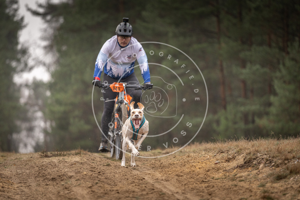 Pfotenfotografie_DV3A3934 | Hundefotografie, Tierfotograf, Pfotenfotografie, Fotoshooting Hund, Hunde Portrait, Hundesport, Hundeportraits, Heideshooting, Hunde, Sportfotograf, Hundefotograf, Turnierhundsport, THS,  - Realisiert mit Pictrs.com