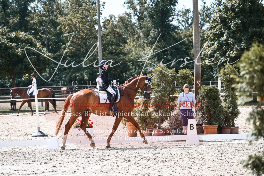 DSC_5119 | Pferde- und Turnierfotografie in Westsachsen. Pferdeportraits, Auftragszeichnungen und intuitive Kunst.
