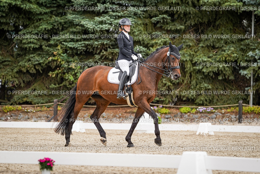 DSC04483 | Pferdegrafie