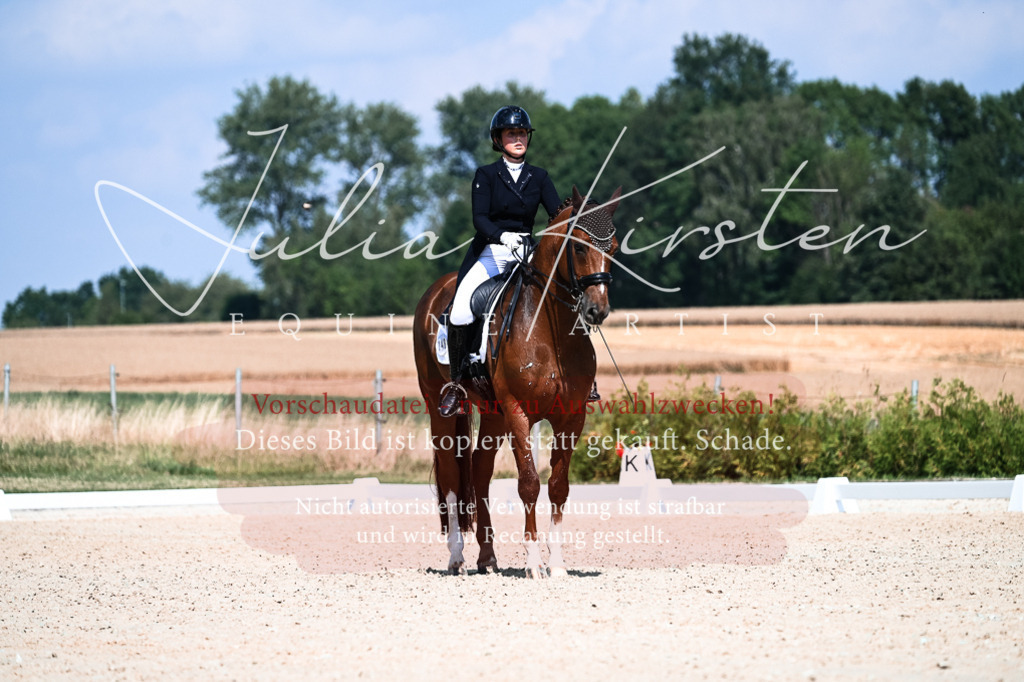 DSC_2840 | Pferde- und Turnierfotografie in Westsachsen. Pferdeportraits, Auftragszeichnungen und intuitive Kunst.