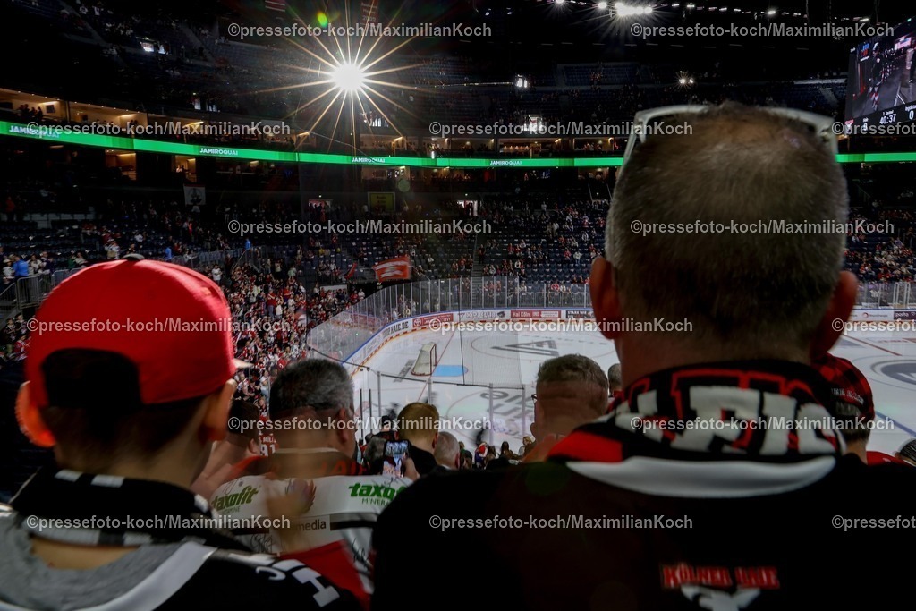 KEC04042501009 | 04.04.2025, Eishockey, DEL Play-offs, Kölner Haie - ERC Ingolstadt, Halbfinale Spiel 2, Lanxess-Arena Köln: Feature vor dem Spiel - Die untergehende Abendsonne strahlt in die Eishockeyarena