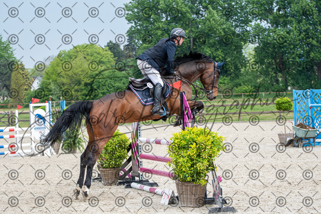 KPT_2900 | andre_photographic