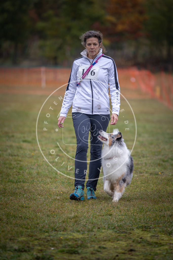 Pfotenfotografie_DV3A9376 | Hundefotografie, Tierfotograf, Pfotenfotografie, Fotoshooting Hund, Hunde Portrait, Hundesport, Hundeportraits, Heideshooting, Hunde, Sportfotograf, Hundefotograf, Turnierhundsport, THS,  - Realisiert mit Pictrs.com